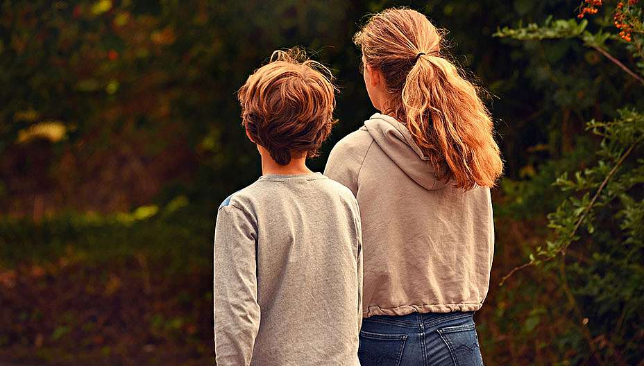 עובדות על אפילפסיה ופרכוסים