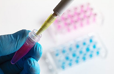 דגימות מעבדה