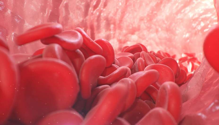 פרופסור אנדריי קרן מסביר על אי ספיקת לב