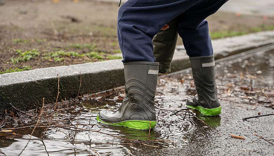 מניעת מחלות חורף