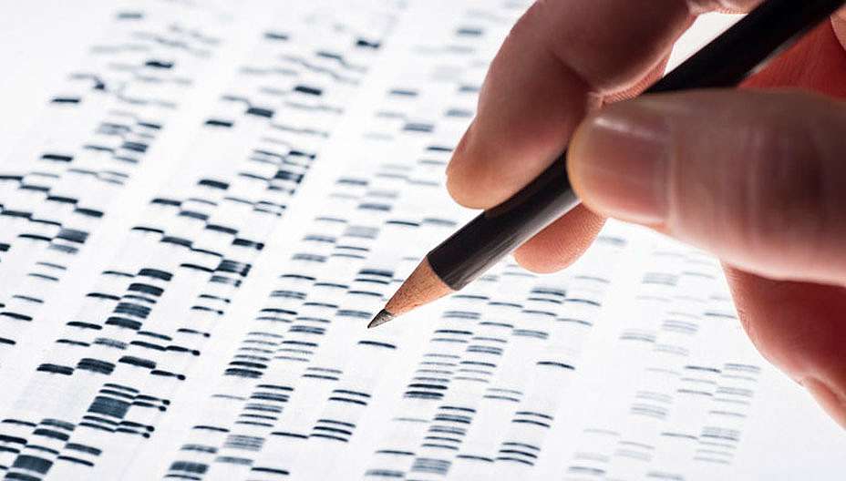 תמונה של בדיקה