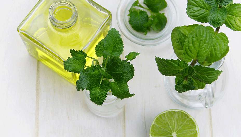 טיפול באקנה בעזרת צמחי מרפא