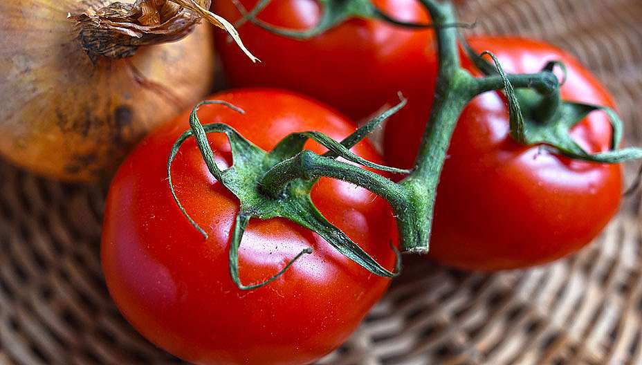המזון שישמור עליכם