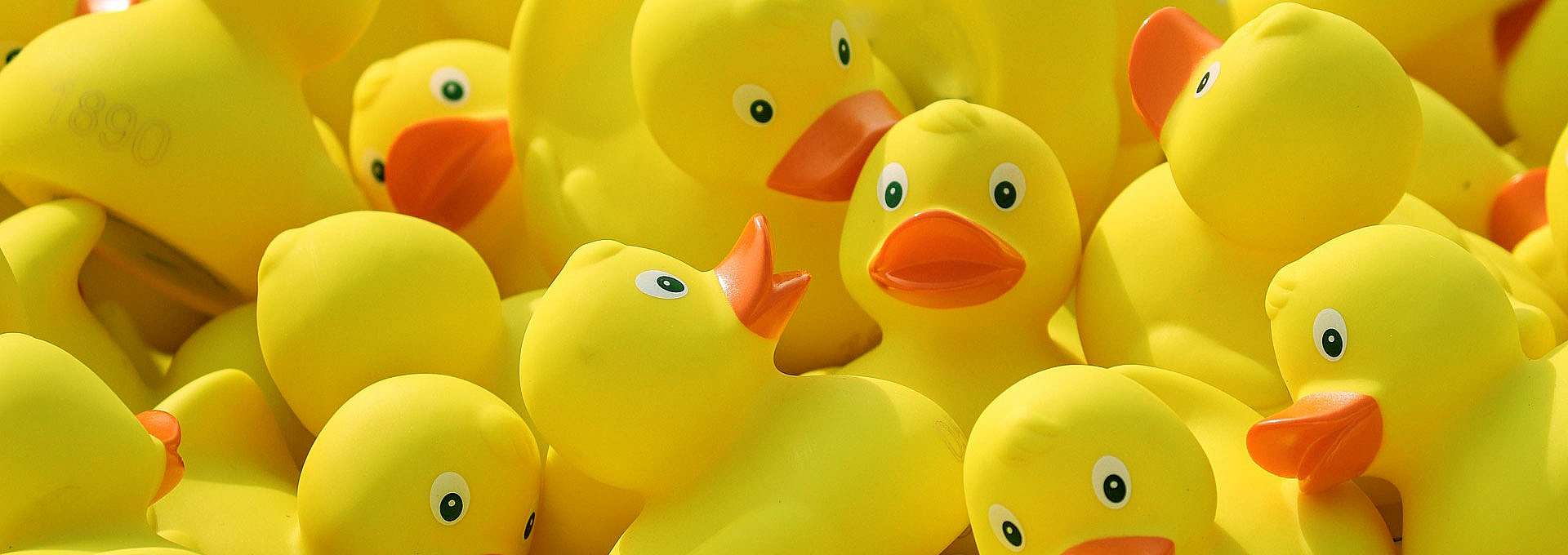 אטופיק דרמטיטיס (אסטמה של העור)